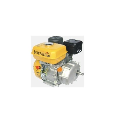 Motor a Gasolina - BFG 6.5 com embreagem