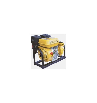 Motobomba BFG Centrifuga Bf 14