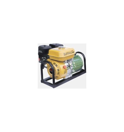 Motobomba BFG Multi Estagio P 11- 4